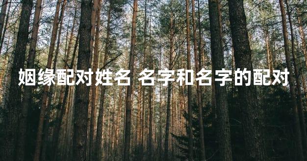 姻缘配对姓名 名字和名字的配对